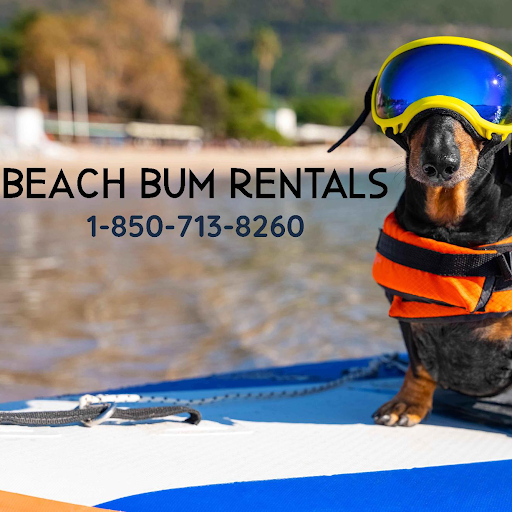 Saint George island Golf Cart and Bike Rentals logo